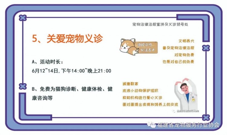 猫狗赛事宠物义诊宠物用品今年端午节福州宠物主们有去处啦