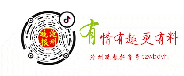 沧州俩农民的宠物狗和大鹅居然会拉车！「晚报直播」