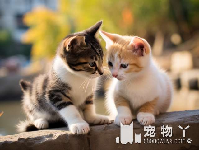 猫神斯芬克斯的起源？